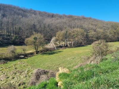 Propriété agricole sur 38 ha dans le mirapicien