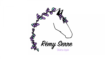 Remy serre shiatsu equin