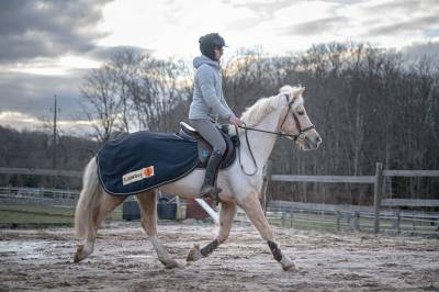 Ponette welsh cob 6 ans