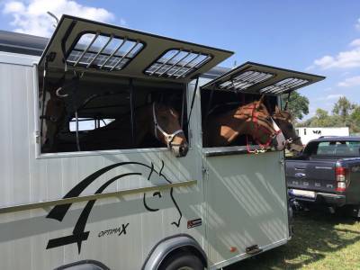 Cheval Liberté Optimax 2018
