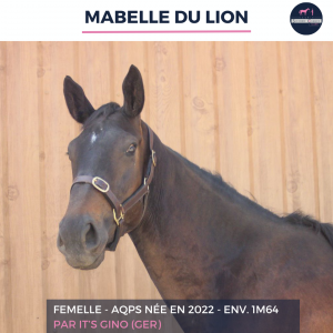 Mabelle du lion - aqps - 3 ans