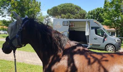 Transport chevaux france europe 