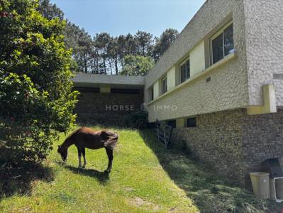 Maison d'architecte et écurie