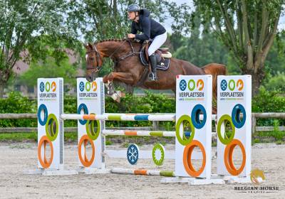 7 ans | Z | Comilfo Plus Z x Lupicor