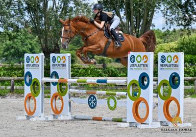 5 ans | BWP | Wandor Van De Mispelaere x Kannan