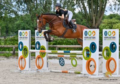 6 ans | Z | Jobolensky Sitte x Copin van de Broy
