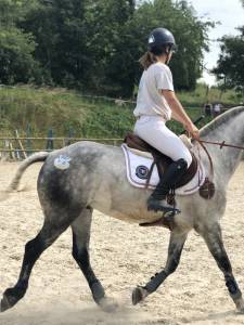 Poney d - connemara - plein papier 12 ans