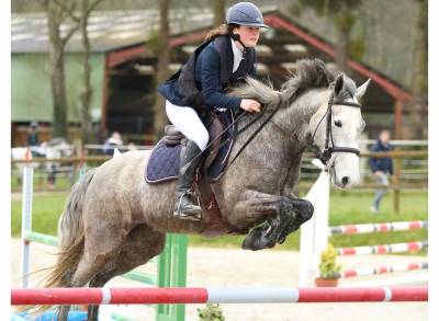 Ponette d