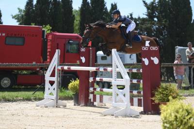 Cheval zangersheide 7 ans par quickstar