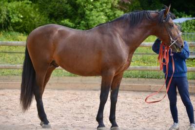 Impressionnant pre 4 ans 170cm entier 