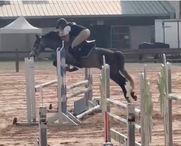 Top poney de sport
