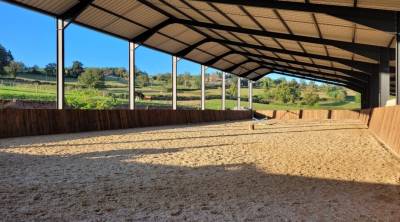 Pension chevaux saône et loire