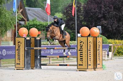 Hongre 12 ans sf pour cso am1/2