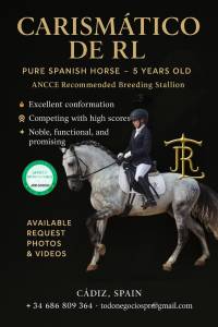 Caballo pre elite
