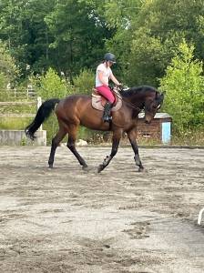 Top cheval polyvalent à prendre en dp