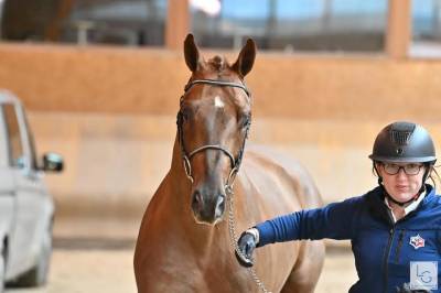 4 ans tres chic gros moyens
