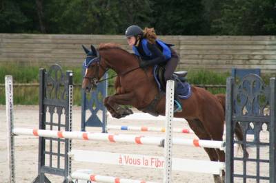 Ponette d à louer / 15 ans