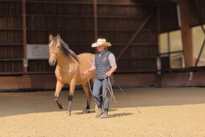 Caballo castrado PRE Pura Raza Española En venta 2021 Isabelo