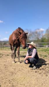 IMPERIAL - PRE 3 ans, cheval d'avenir