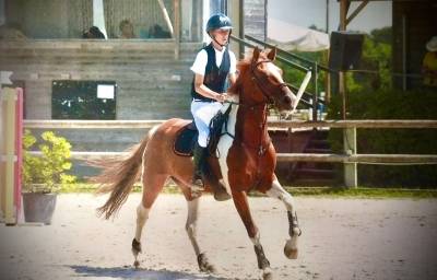 Jument de 6 ans cso