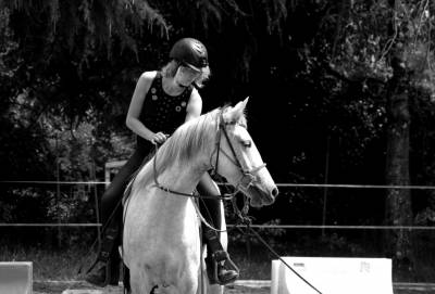 Jument lipizzan arabe 3 ans