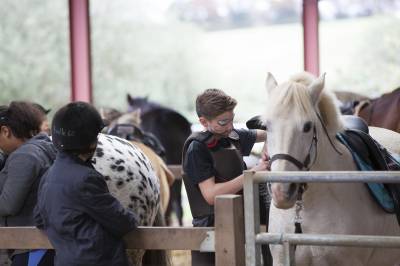 Enseignant / animateur d’équitation h/f