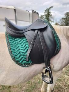Selle john whitaker 17,5
