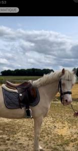 Ponette Welsh 