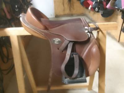 Bareback  guy quentin  15.5