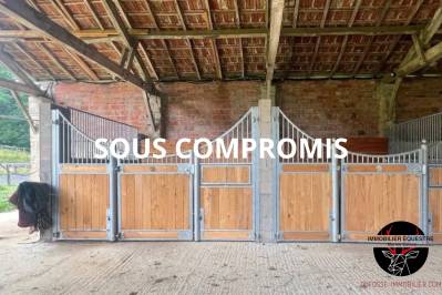 Equestrian property  tarn-et-taronne