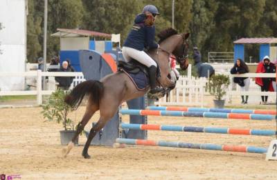 Super pony in vendita del 2011