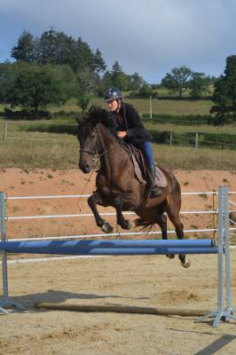 Cours particuliers équitation