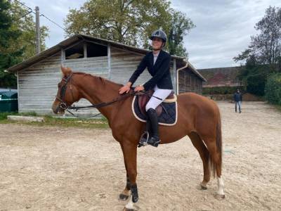 Hongre 7 ans sf top origine casallo x baloubet du rouet
