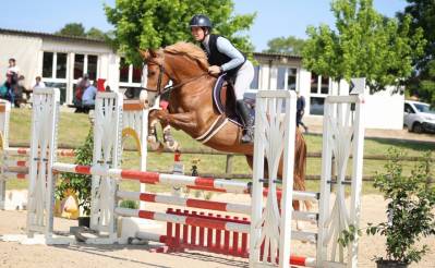 Belle ponette de 6 ans, facile, sortie sur 1,10/1,15 m