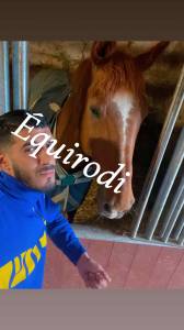 Sofien 36 ans palefrenier pour un poste logé 