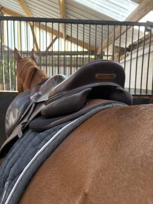 Selle forestier séoul 17,5 à vendre