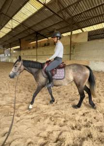 Ponette 4 ans a exploiter 