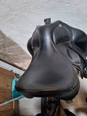 Selle de dressage 