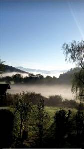 Arboys en bugey / propriété / 288 m² / 2.25 ha de foncier zon