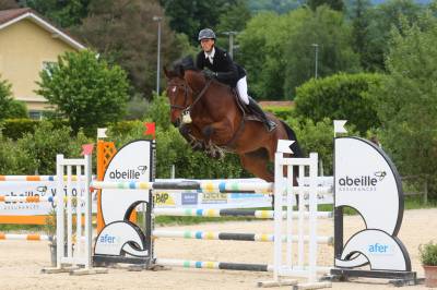 Hongre 7 ans cso 