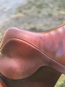 Selle terry’s