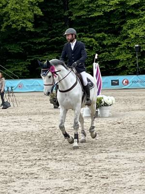 Cheval sport 