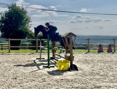 à vendre — ponette d d’exception pour le sport 
