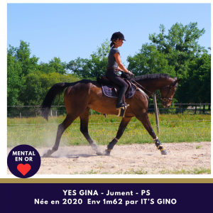 Merveilleuse jument 5 ans