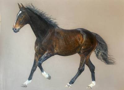 Art équestre 