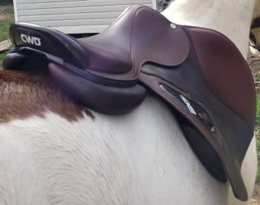 Magnifique selle cwd