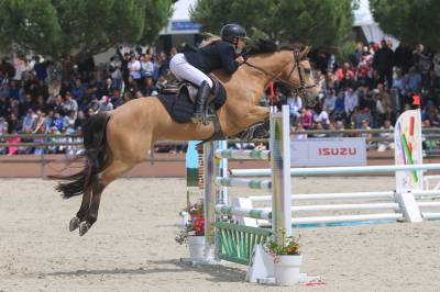 à vendre super poney de grand prix maitre d'école 