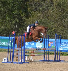 Hongre 10 ans sport