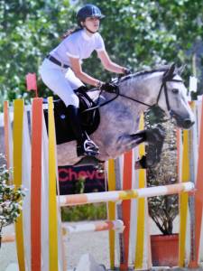 Merrie Connemara Te koop 2020 Schimmel ,  Fairyhill mozart