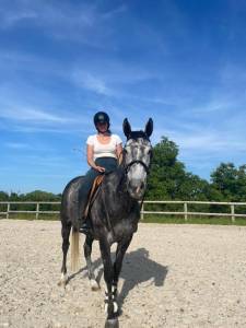 Cheval dressage cso